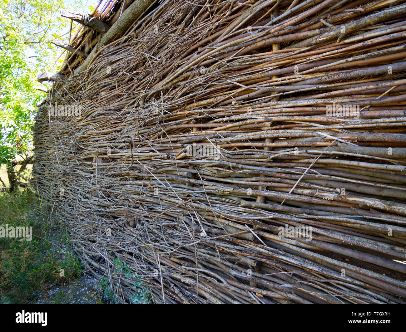 Hütte Wand aus verdrillten Stangen und Zweigen. Stockfoto
