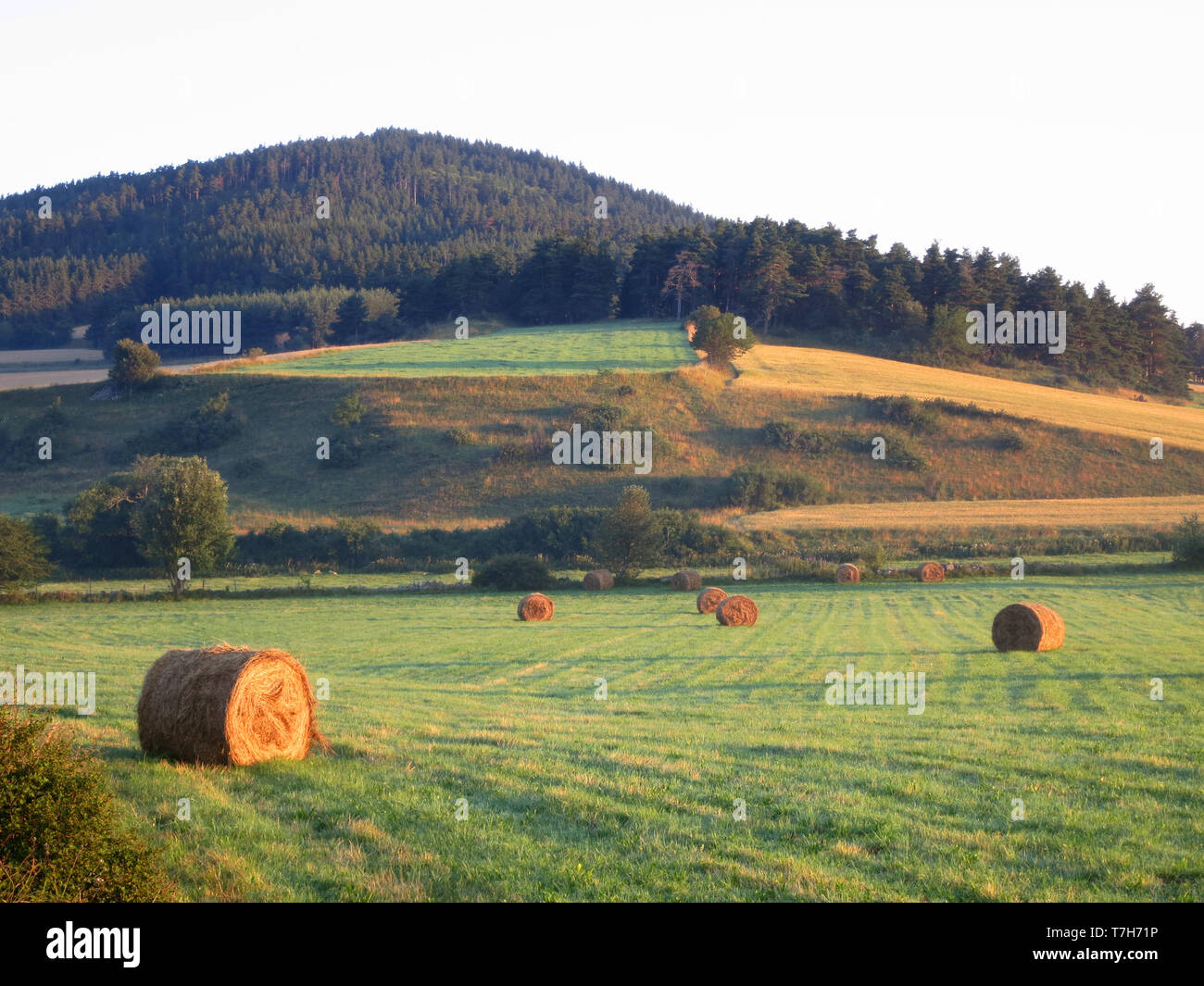 Landwirtschaftliche Felder entlang der GR65, Via Podiensis, auch bekannt als Le Puy Route im Süden von Frankreich. Der französische Teil des Camino de Santiago. Stockfoto