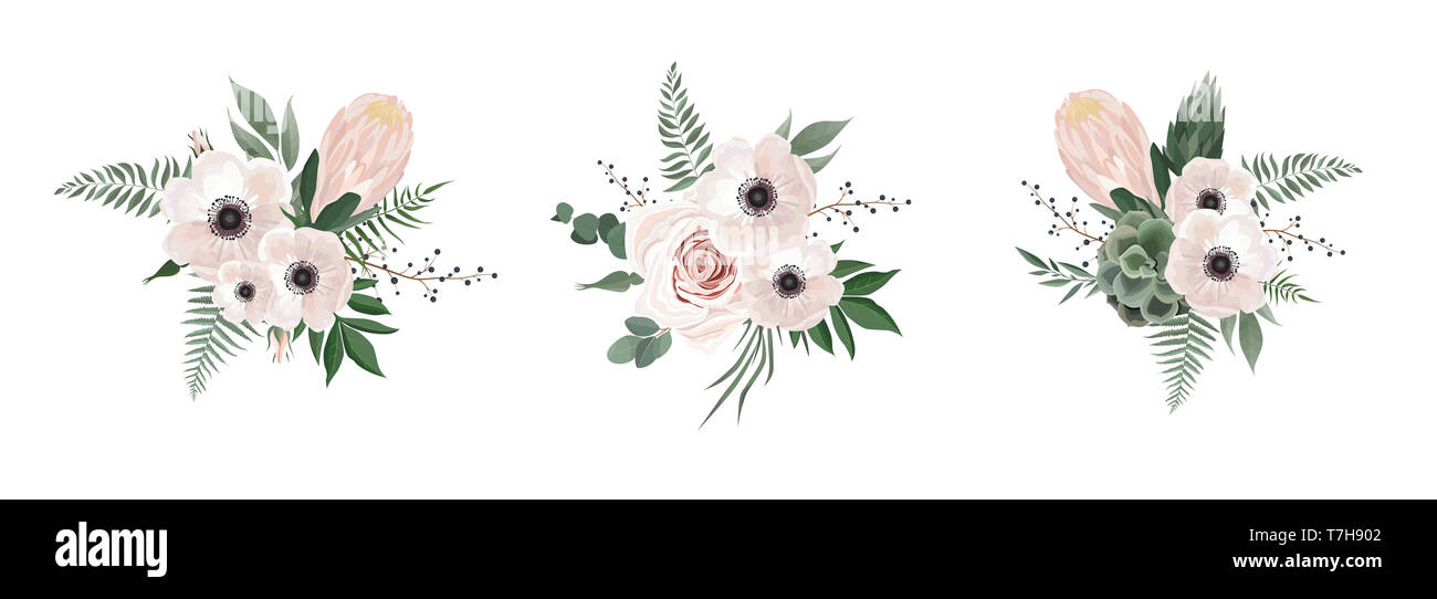 Blumiges bouquet design Anemone, Eukalyptus- branche. Hochzeit Karte Aquarell designer Element Set laden Stockfoto