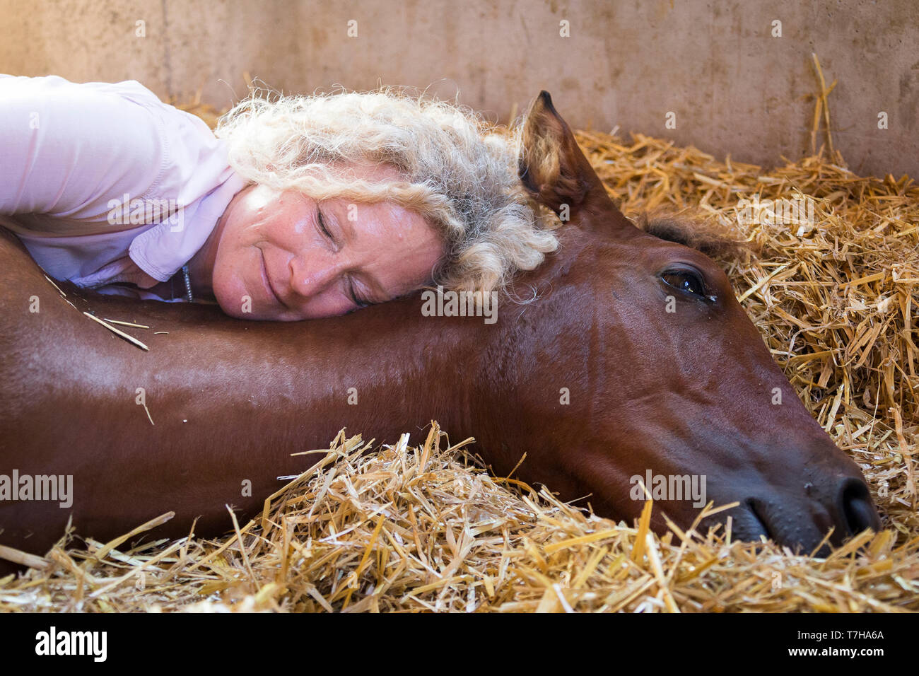 Iberischen Sport Pferd. Andrea Jaenicke und Bay Fohlen zusammen in einem Stall. Deutschland Stockfoto