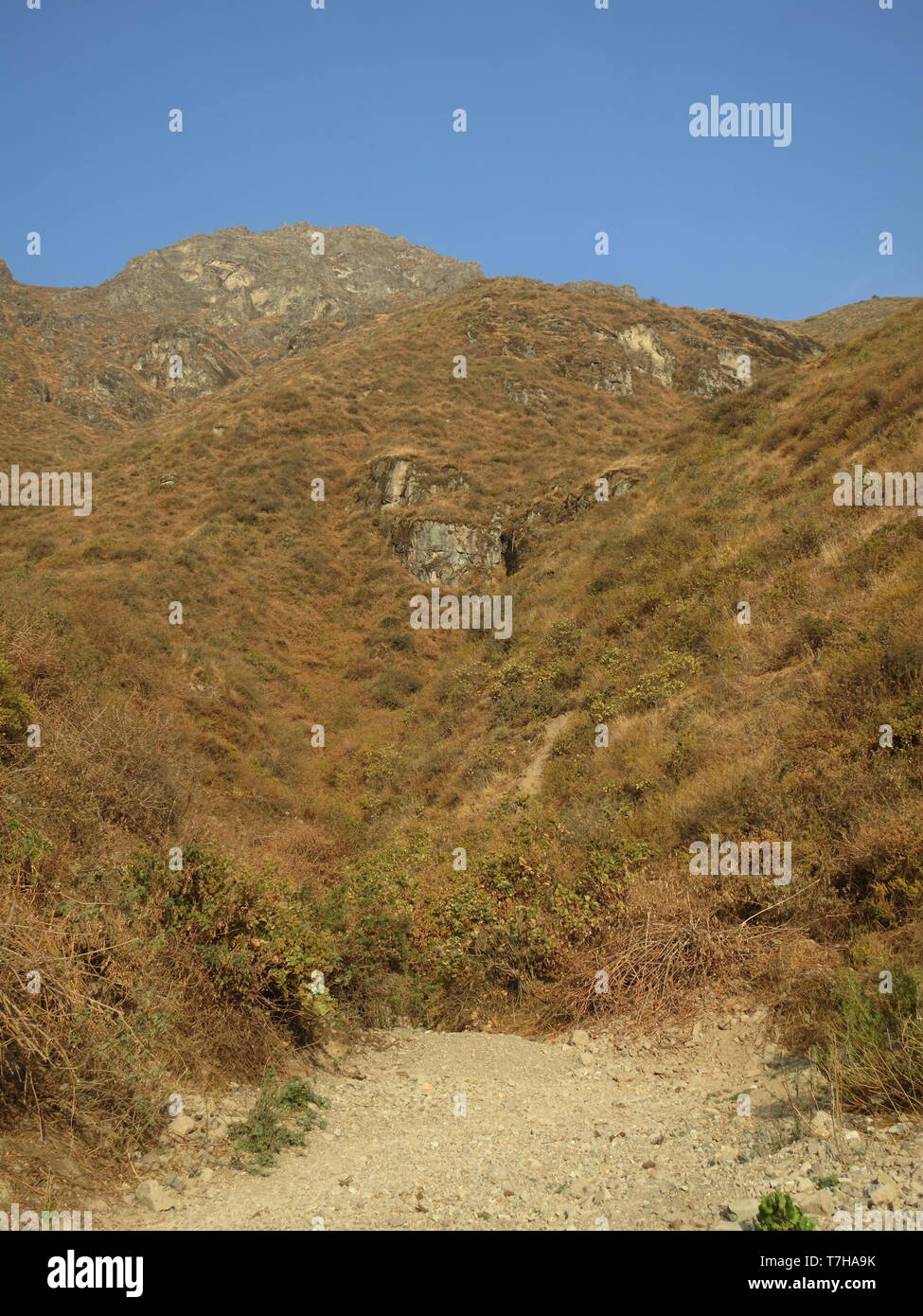 Trockenen Tal in der unteren westlichen Anden von Peru. Hügel bedeckt mit trockenem Gestrüpp. Stockfoto