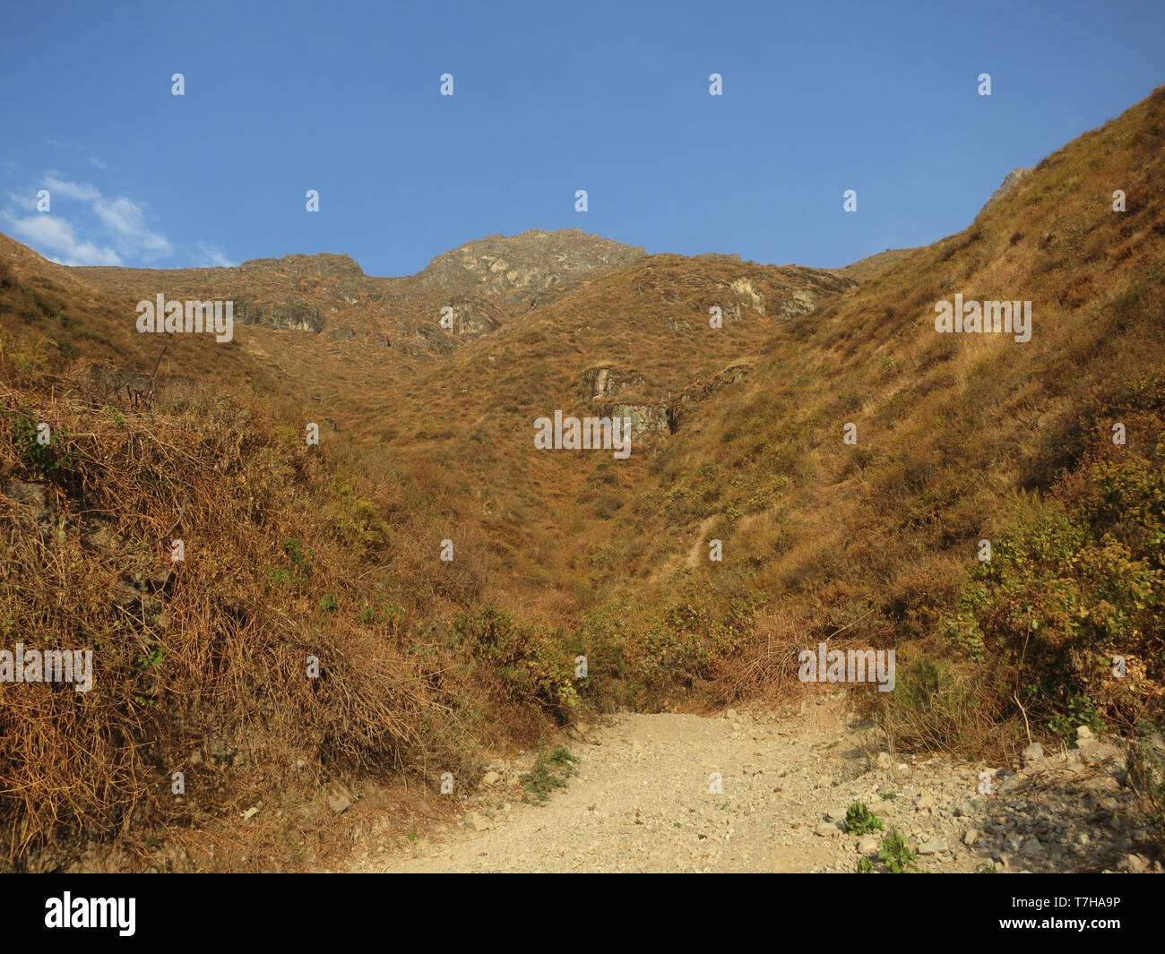 Trockenen Tal in der unteren westlichen Anden von Peru. Hügel bedeckt mit trockenem Gestrüpp. Stockfoto