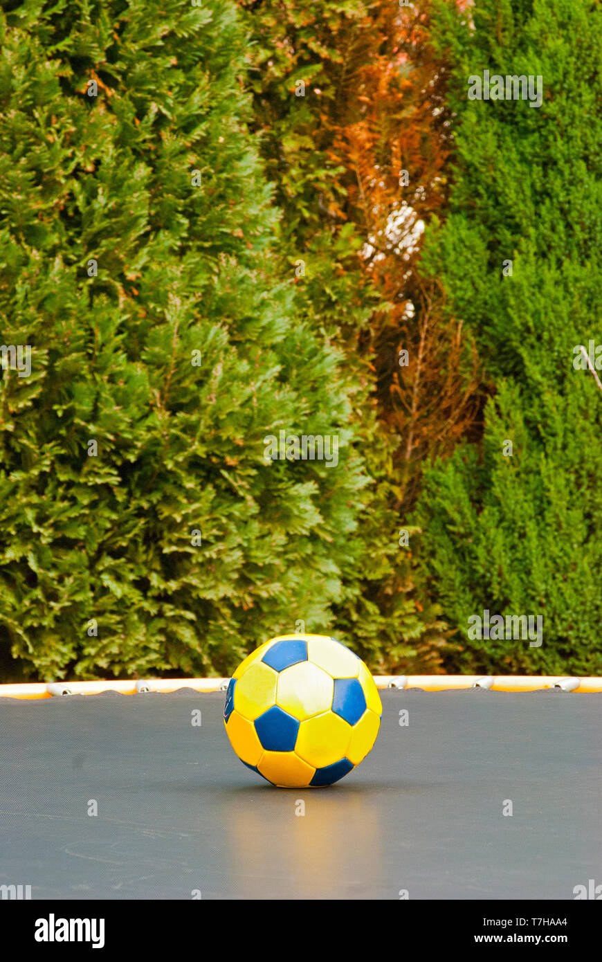 Nahaufnahme der Ball auf dem Trampolin Stockfoto
