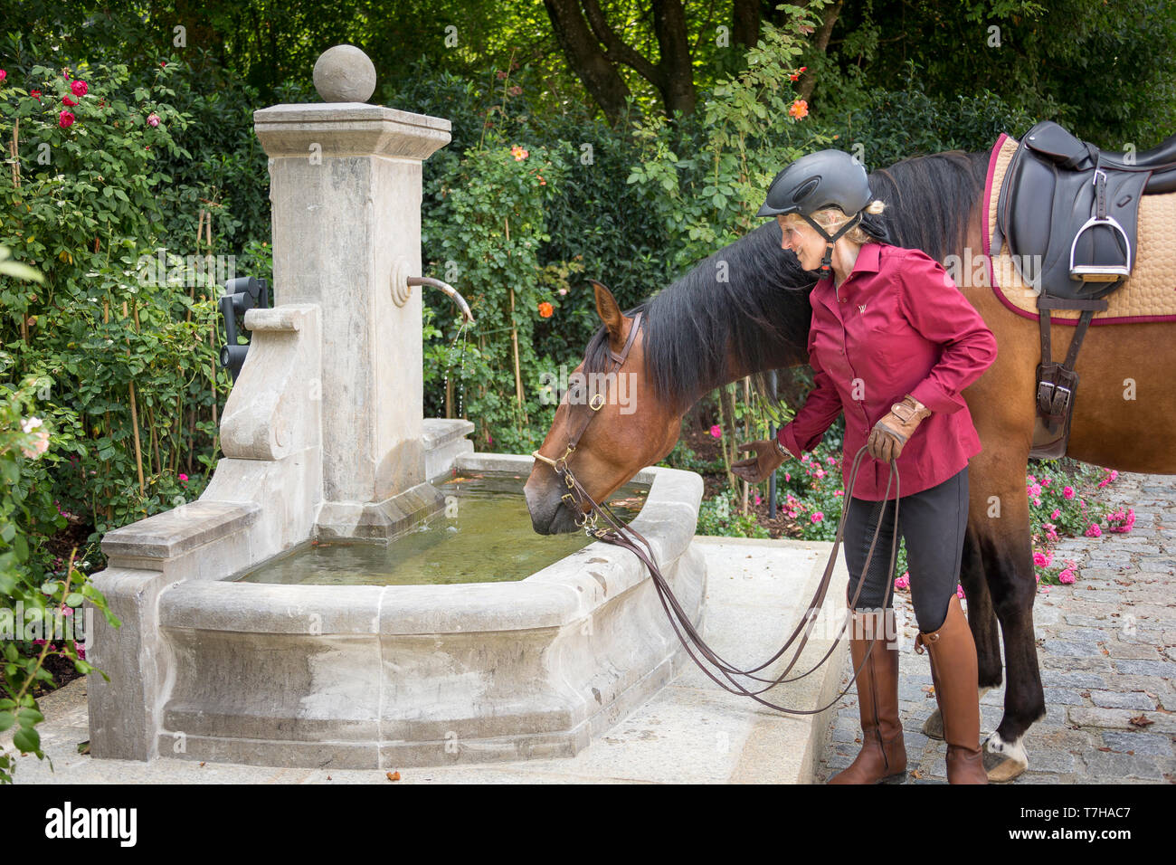 Iberischen Sport Pferd. Andrea Jaenisch im Garten von Stud Weng, Bewässerung Bay Horse an einem Brunnen. Amerang, Bayern, Deutschland Stockfoto
