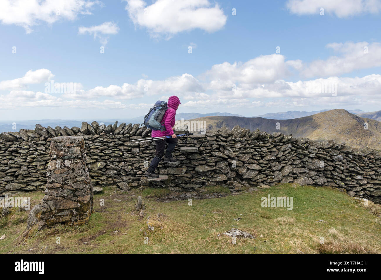 Walker Klettern den Stil Neben der Trig Point auf dem Gipfel des Kentmere Hecht mit der Ansicht West Lake District, Cumbria, Großbritannien Stockfoto