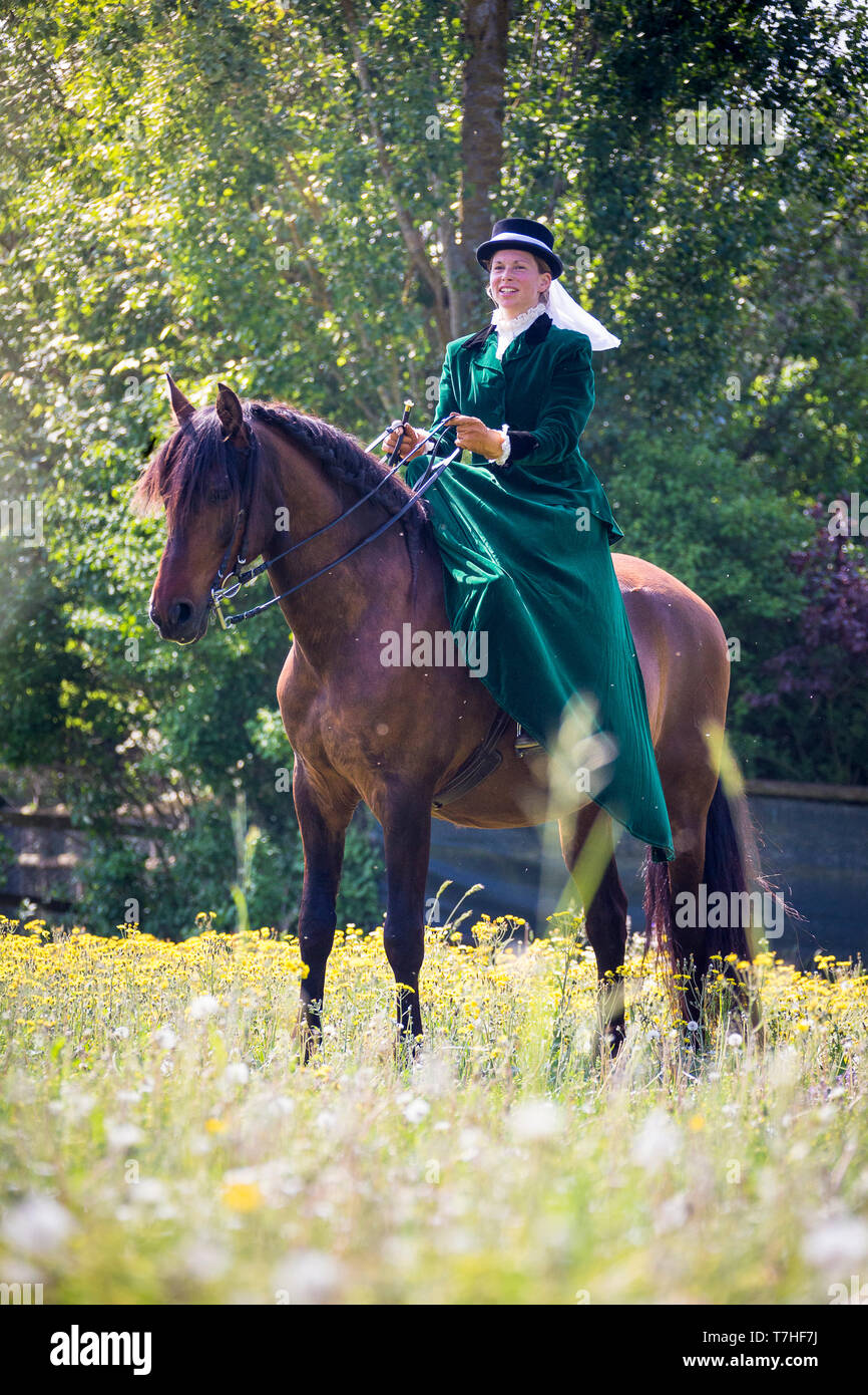 Pura Raza Espanola, Andalusischen. Reiter mit Kostüm und sidesaddle stehen auf einer Wiese. Schweiz Stockfoto