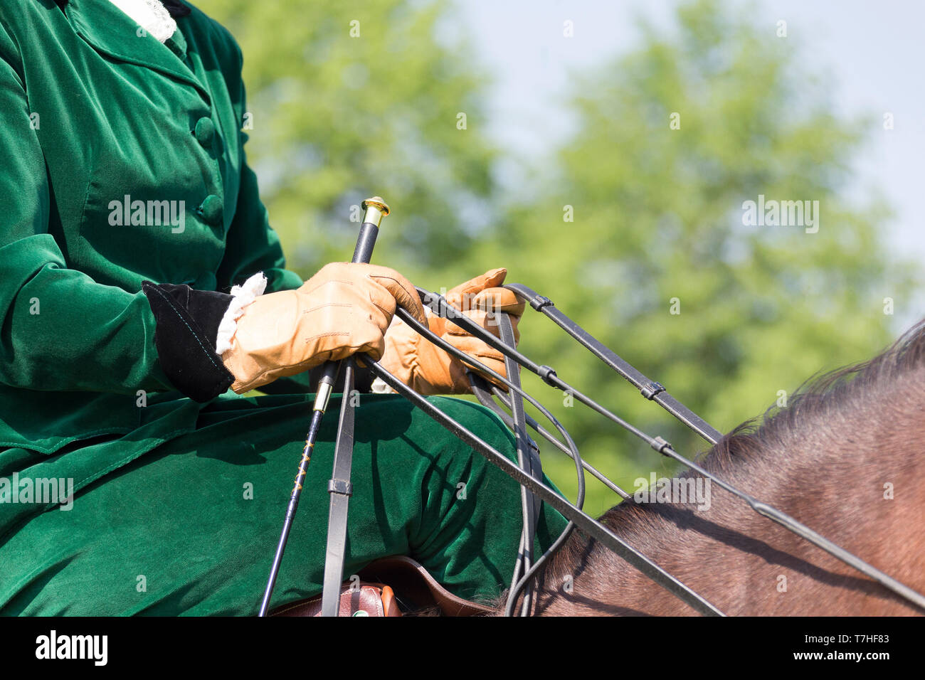 Pura Raza Espanola, Andalusischen. Reiter mit Kostüm und sidesaddle zeigt die richtige Art und Weise der Holding die Zügel. Schweiz Stockfoto
