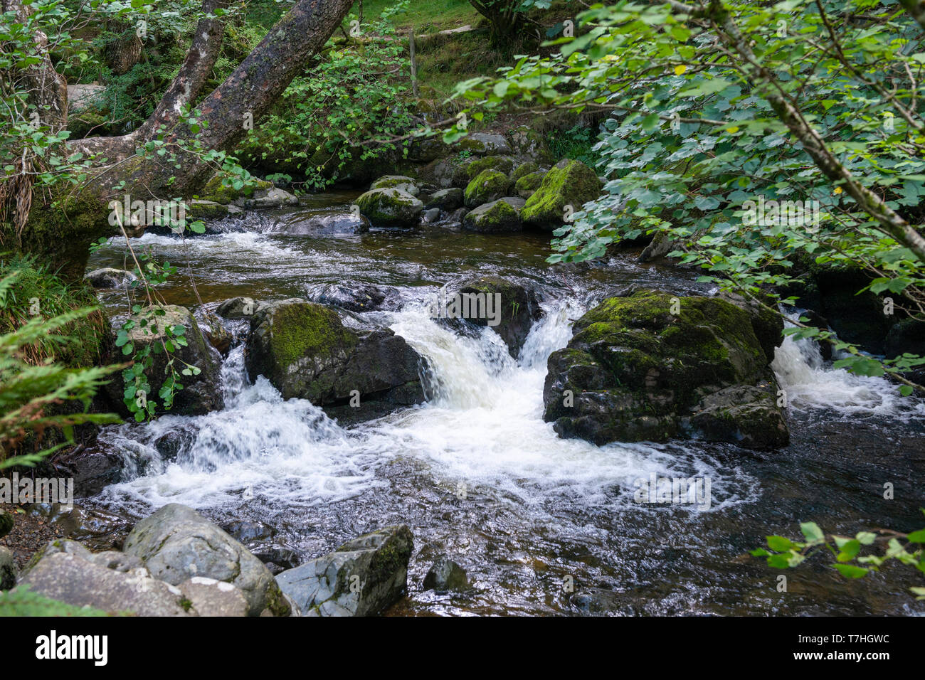 Aira tritt Wasserfall an der Aira Beck Fluss im Nationalpark Lake District, Cumbria, England, Großbritannien Stockfoto