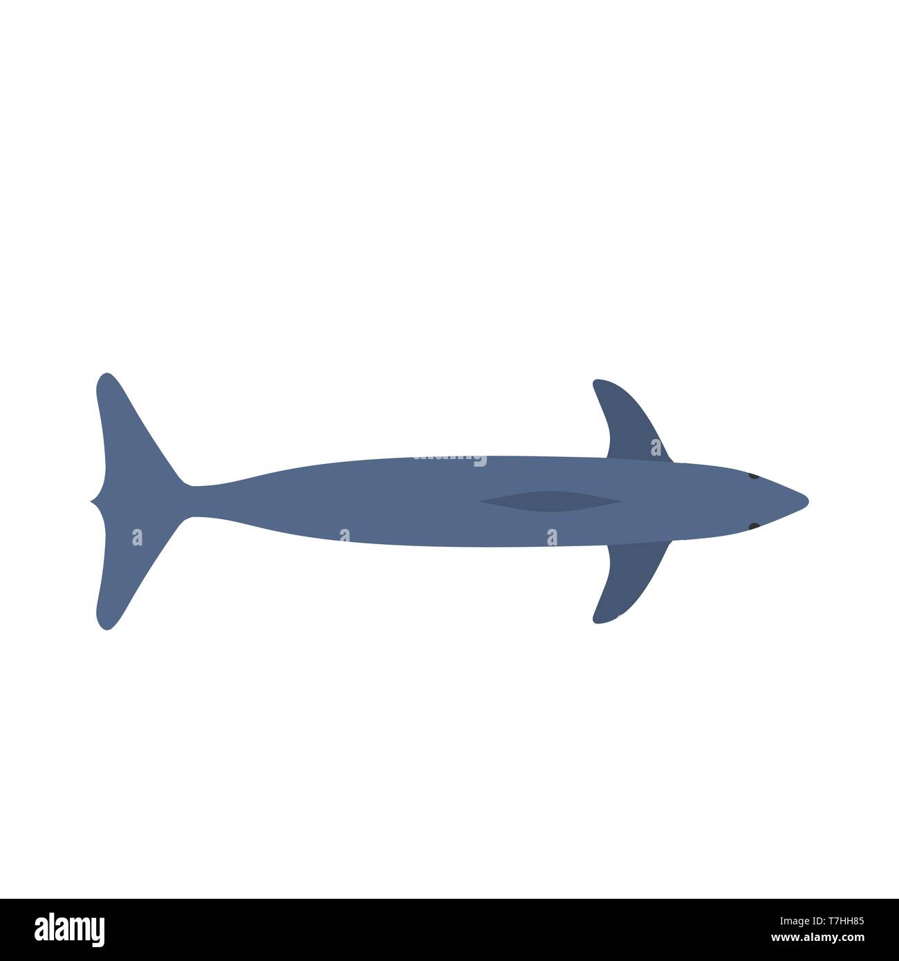 Dolphin blau Säugetier Kunst grafisches Symbol Vektor icon. Tier Sea Aquarium Illustration zeigen Ansicht von oben. Stock Vektor