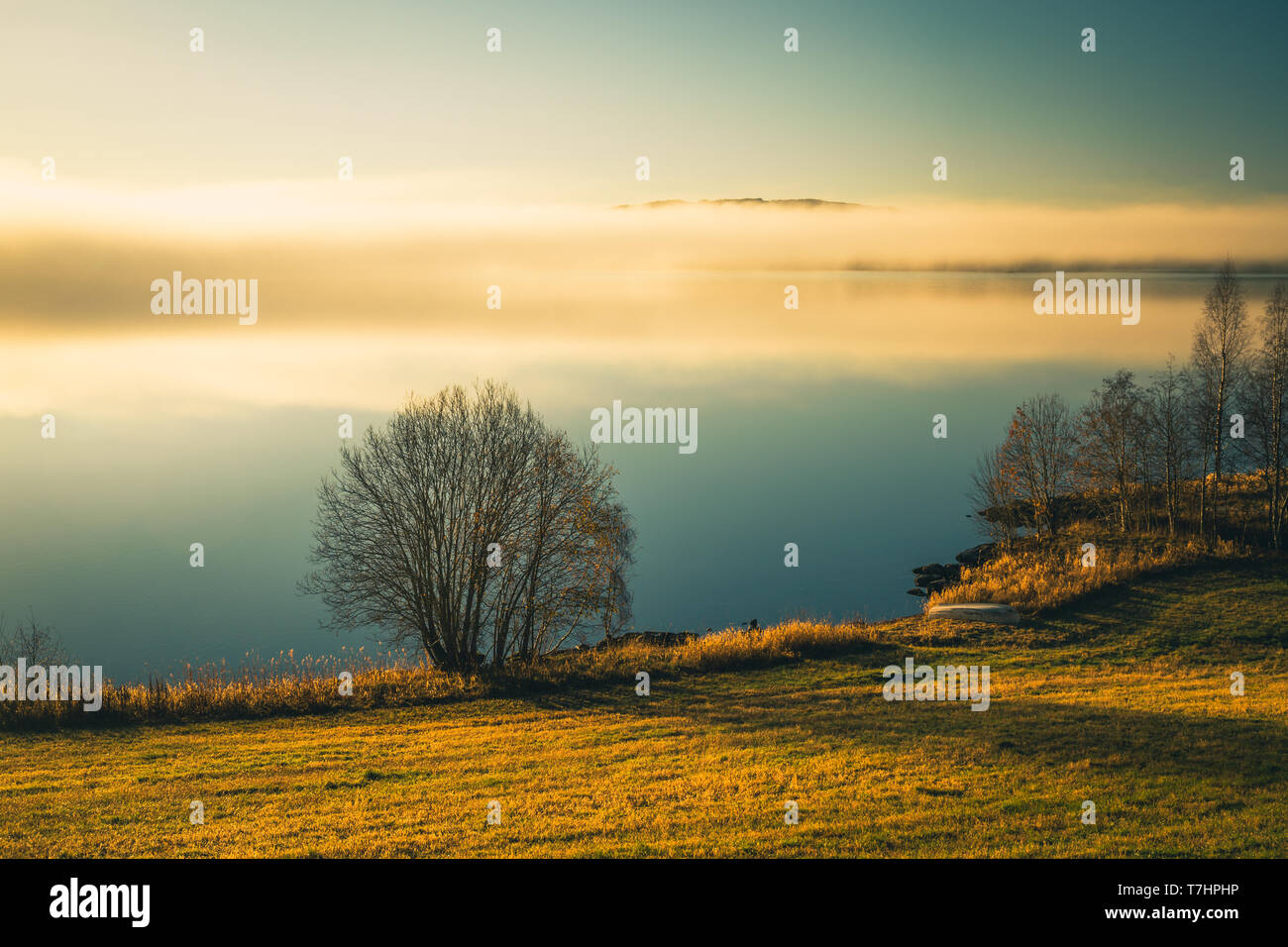 Foggy herbstliche Jonsvatnet surise am See, Trondheim in Norwegen. Ruhige Luft, Orange, warmes Licht, noch Wasser des Sees. Stockfoto