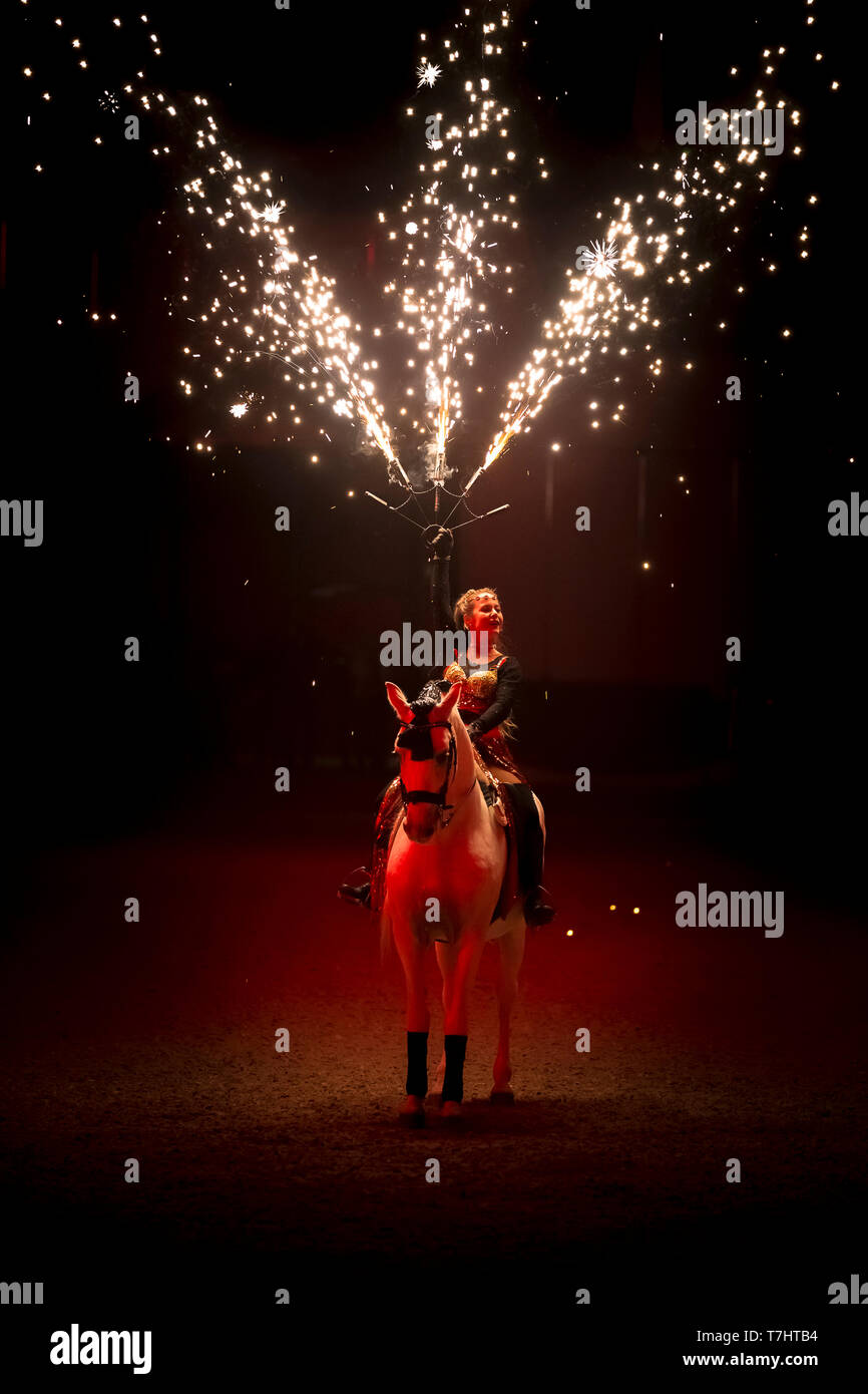 Reine Spanische Pferd, Andalusische. Interpret während einer Horse Show mit Feuerwerk Stockfoto