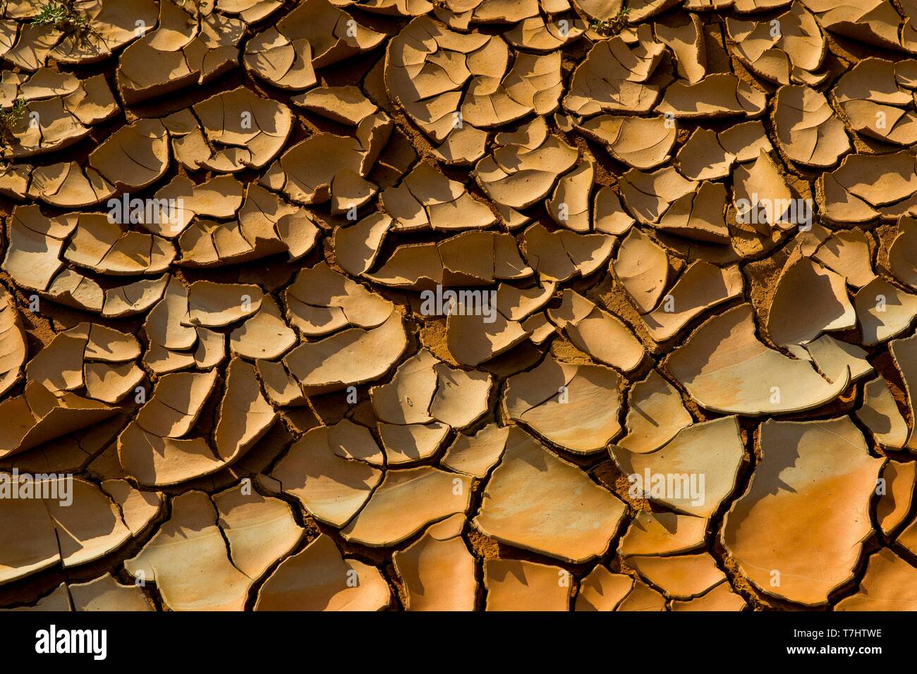 Der trockene Ton, Schlitze der Austrocknung, Zhangye, China Stockfoto