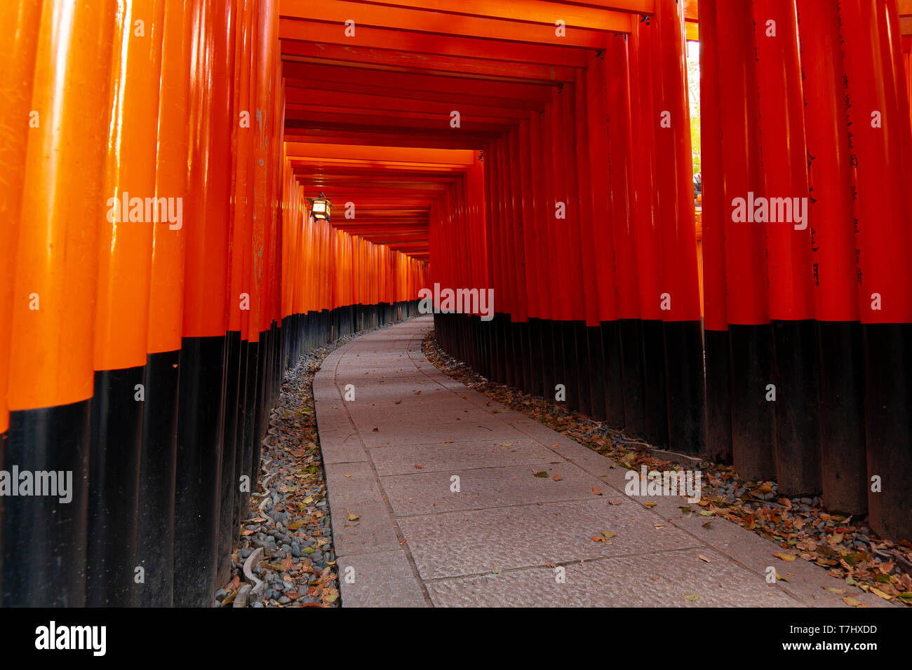 Fushimi Inari Taisha Torii-tor Tunnel Stockfoto