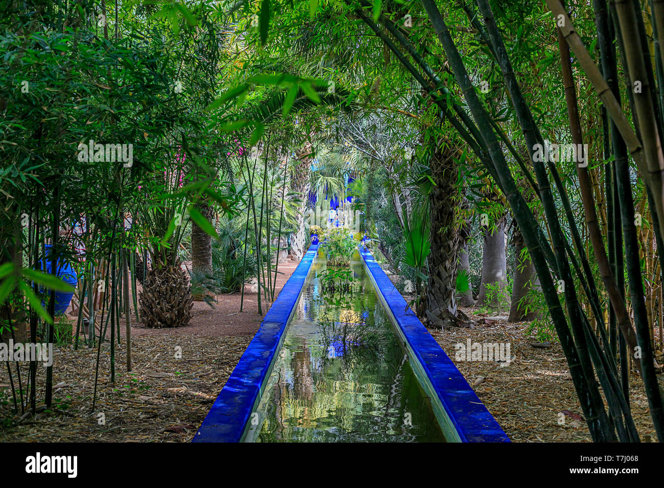 Die Majorell Garten ist ein botanischer Garten und Landschaft Garten in Marrakesch, Marokko. 18. April 2019 Stockfoto