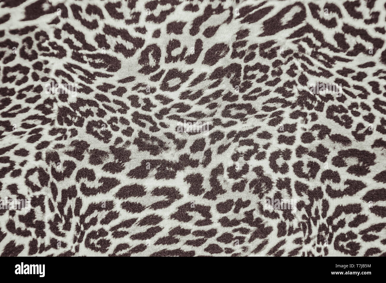 Leopard animal print Textur Material Stockfoto