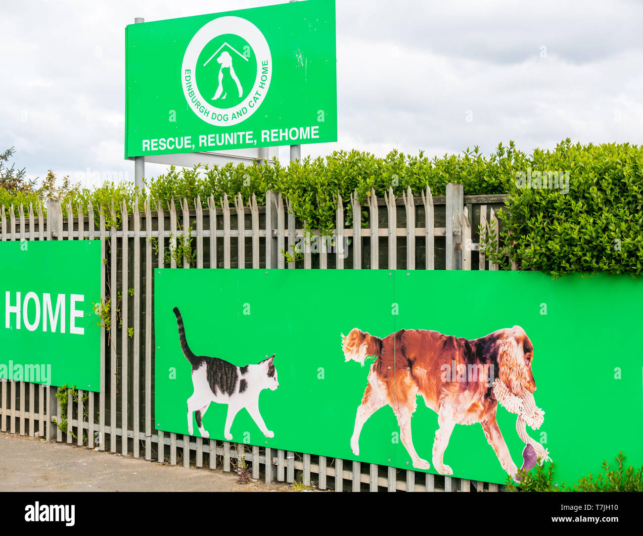 Edinburgh Hund & Katze Home Eingang, pet Animal Rescue Center, Seafield, Edinburgh, Schottland, Großbritannien Stockfoto