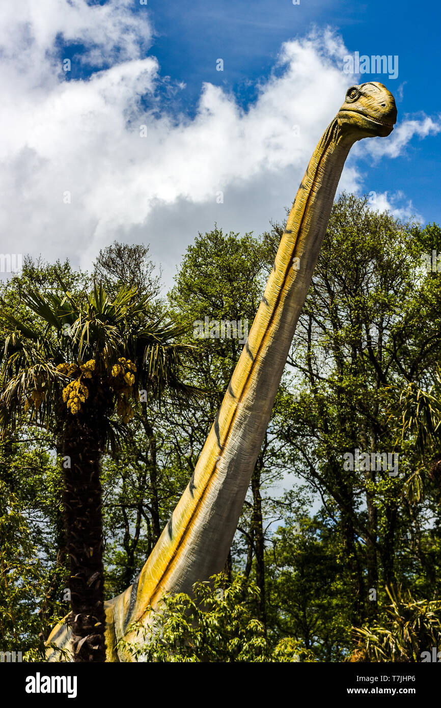 Diplodocus gesehen hoch über den Bäumen. Stockfoto