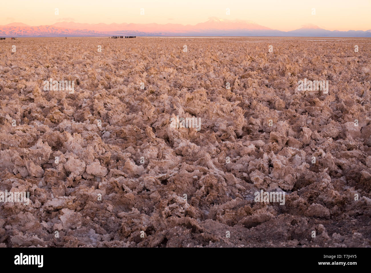 Salzkruste in der Salar de Atacama (Atacama Salt Lake), Soncor, Atacama-wüste, Antofagasta Region, Chile Stockfoto