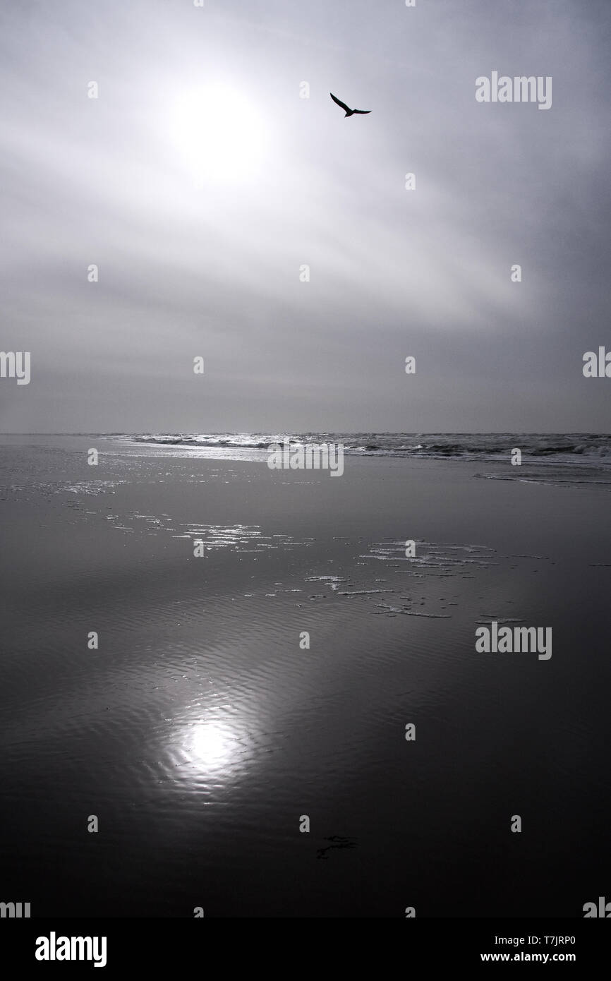 Strand von Katwijk aan Zee, Niederlande Stockfoto