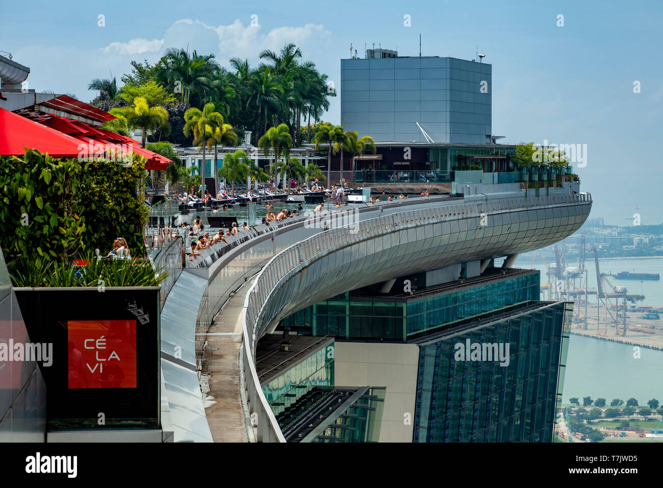 Der Infinity Pool an der Marina Bay Sands Hotel, Singapur, Südostasien Stockfoto