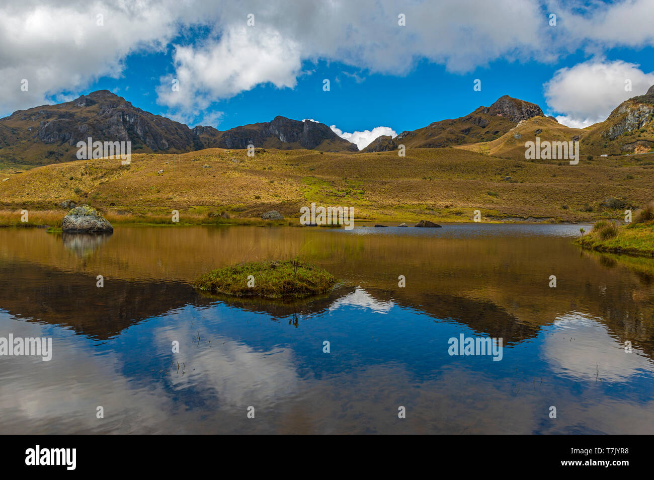 Reflexion der Anden in einer der vielen Lagunen im Cajas Nationalpark außerhalb von Cuenca, Ecuador. Stockfoto