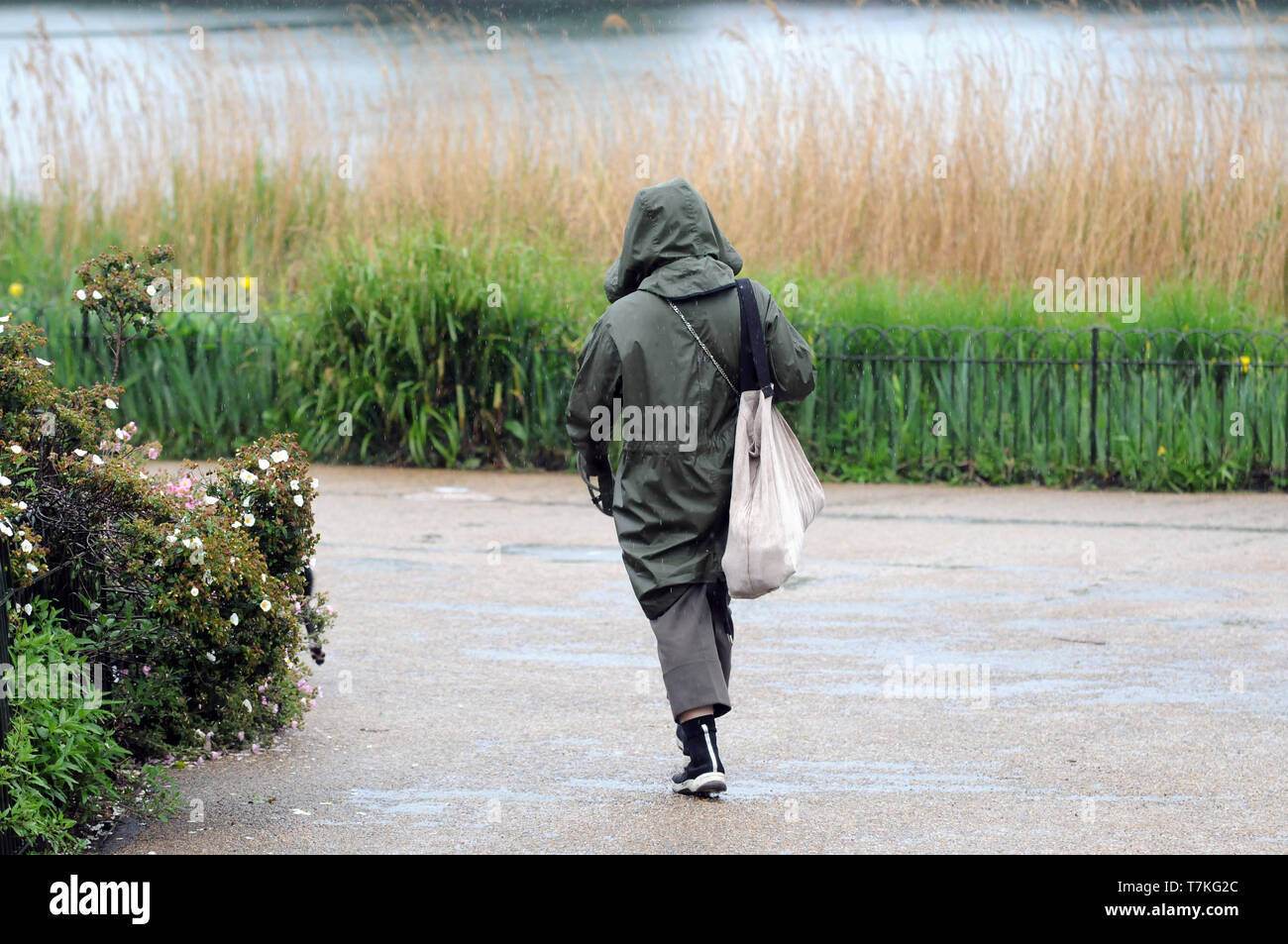 London, Großbritannien. 8. Mai, 2019. London Regen entlang der Serpentine im Hyde Park Credit: JOHNNY ARMSTEAD/Alamy leben Nachrichten Stockfoto