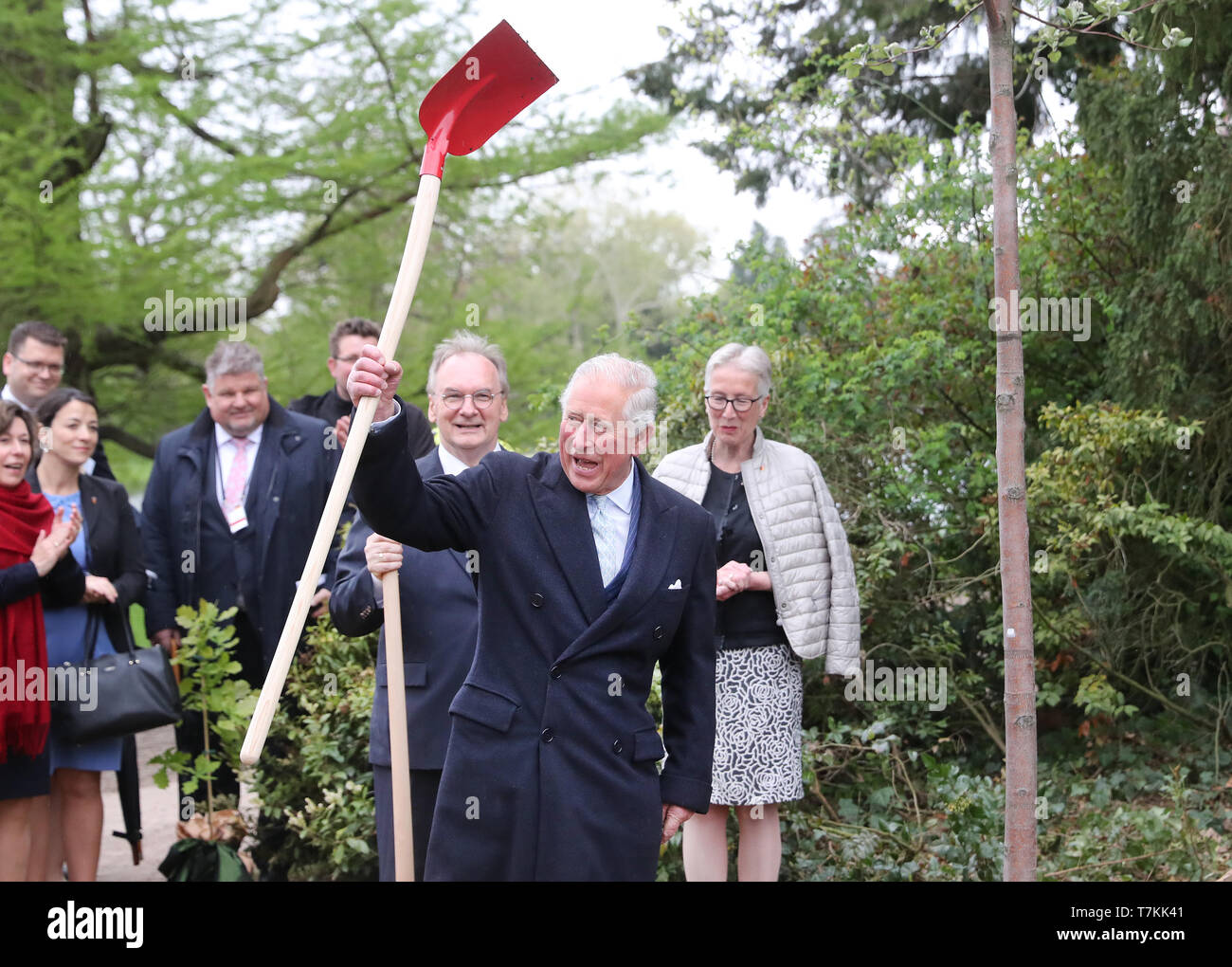 Sachsen, Deutschland. 08 Mai, 2019. - 08. Mai 2019, Sachsen-Anhalt Wörlitz: Der britische Thronfolger Prinz Charles Aufzüge eine Schaufel in die Luft, nachdem er einen Baum im Gartenreich Dessau-Wörlitz gepflanzt. Der Prinz von Wales besucht Leipzig und Wörlitz Am zweiten Tag seiner Reise nach Deutschland. Foto: Jan Woitas/dpa Pool/dpa Quelle: dpa Picture alliance/Alamy leben Nachrichten Stockfoto