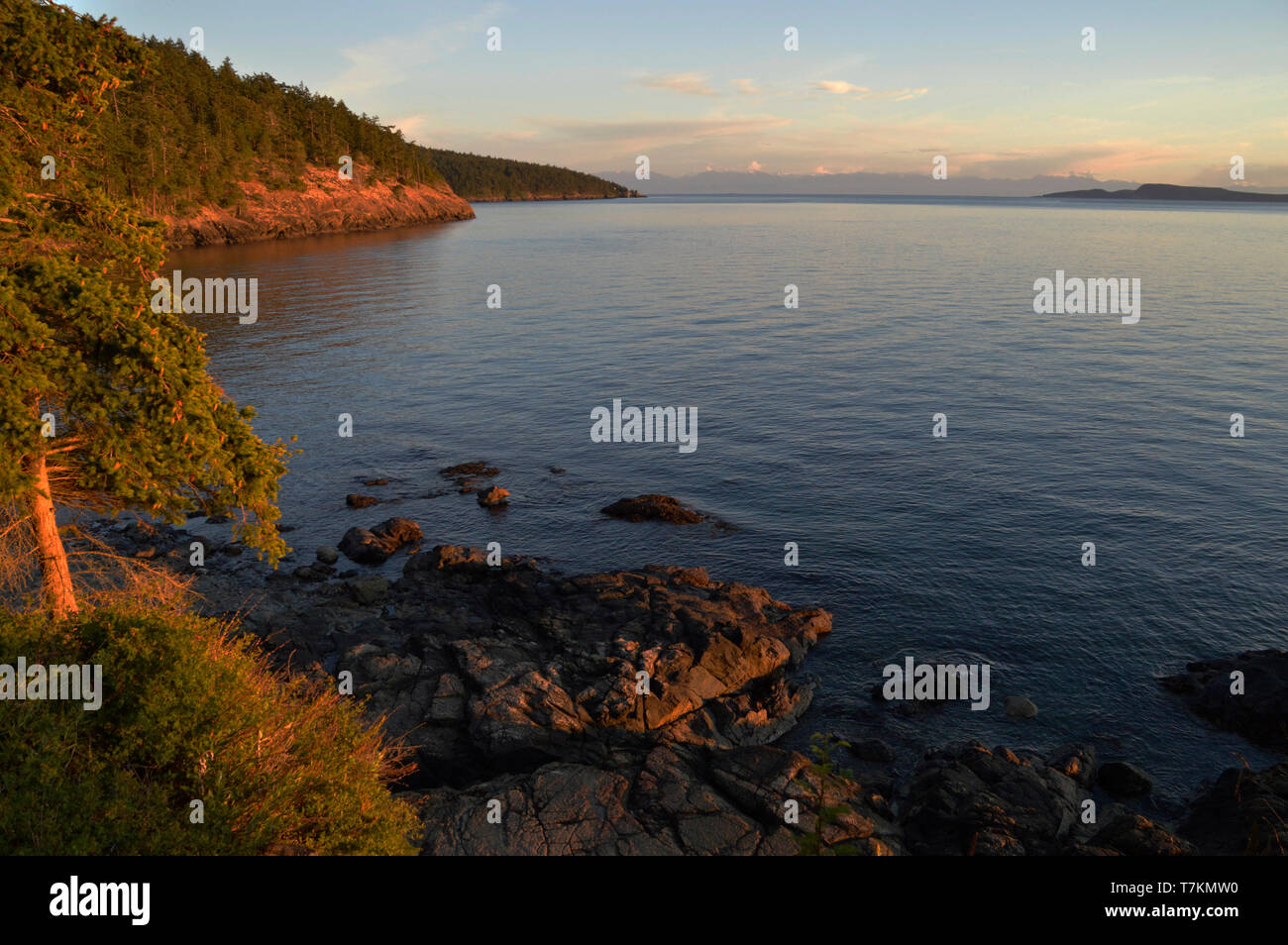 Blick auf den Strand, San Juan Islands, Washington State, FidalgoIsland. Stockfoto