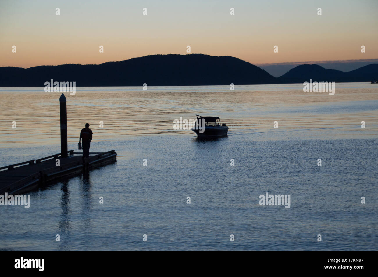 Washington Stater Fischprüfer inspiziert einen Fischfang im Washington Park auf Fidalgo Island auf den San Juan Inseln. Stockfoto