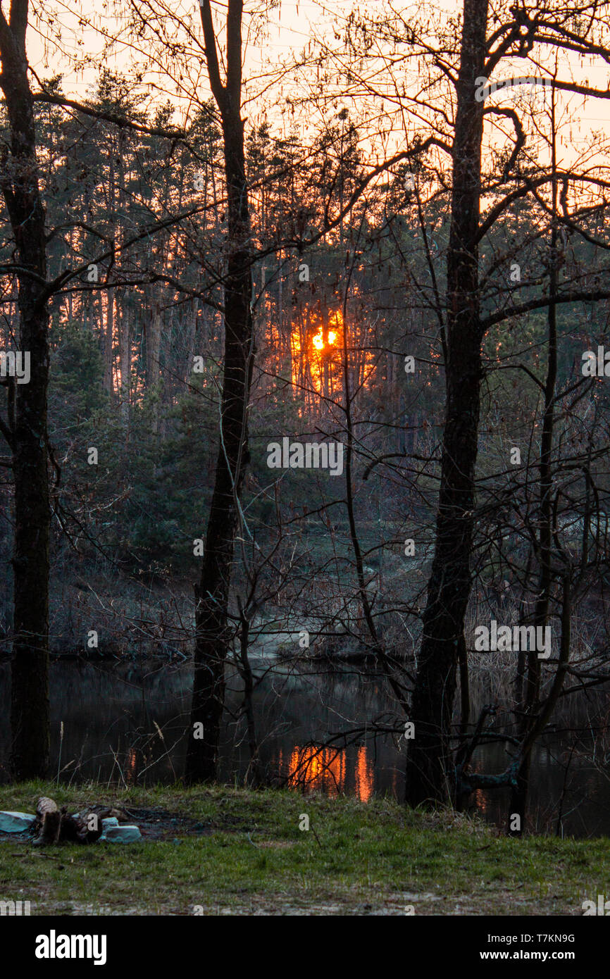 Das Foto eines Sonnenuntergangs im Wald mit Reflexion in den Fluss. Camping Feuer Stockfoto