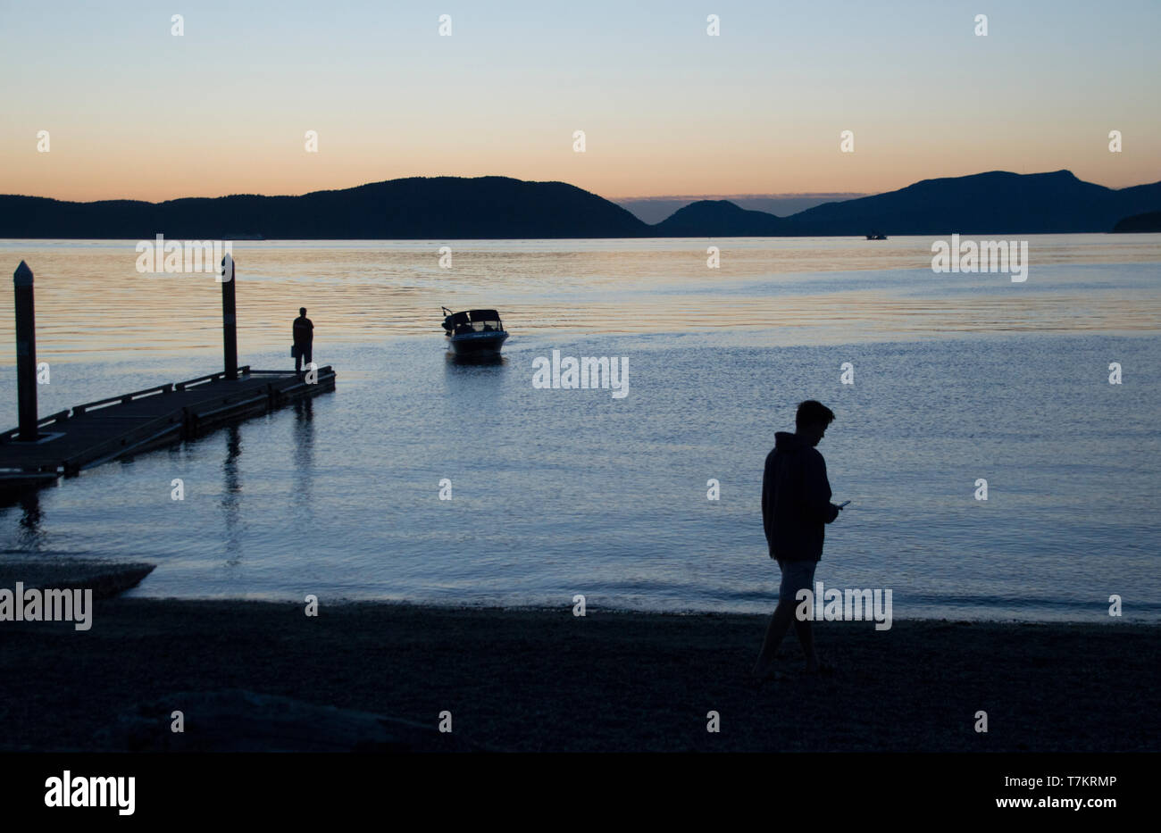 Washington Stater Fischprüfer inspiziert einen Fischfang im Washington Park auf Fidalgo Island auf den San Juan Inseln. Mann einmal telefonieren . Stockfoto
