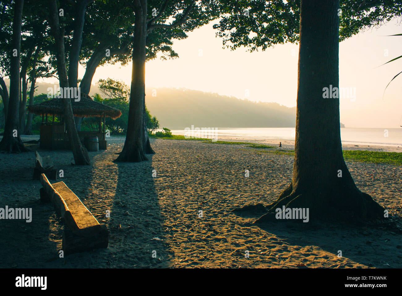 Bäume, Sitzbank und eine Hütte am Strand von Radhanagar Havelock Island, Andaman und Nicobar Inseln Stockfoto