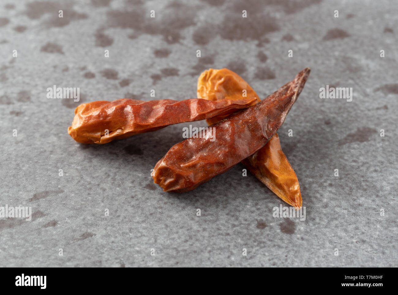 Seitenansicht des Vietnamesischen drei getrockneten Chilischoten auf grauem Hintergrund mit natürlichem Licht beleuchtet. Stockfoto