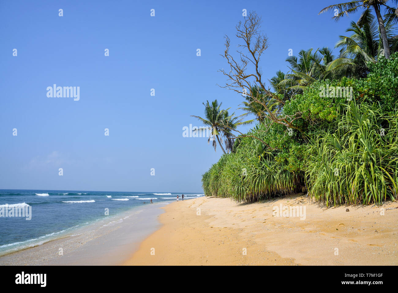 Schöne Landschaft mit Strand Stockfoto