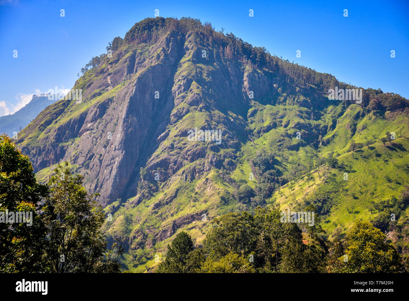 Schöne Landschaft mit Ella Rock Stockfoto