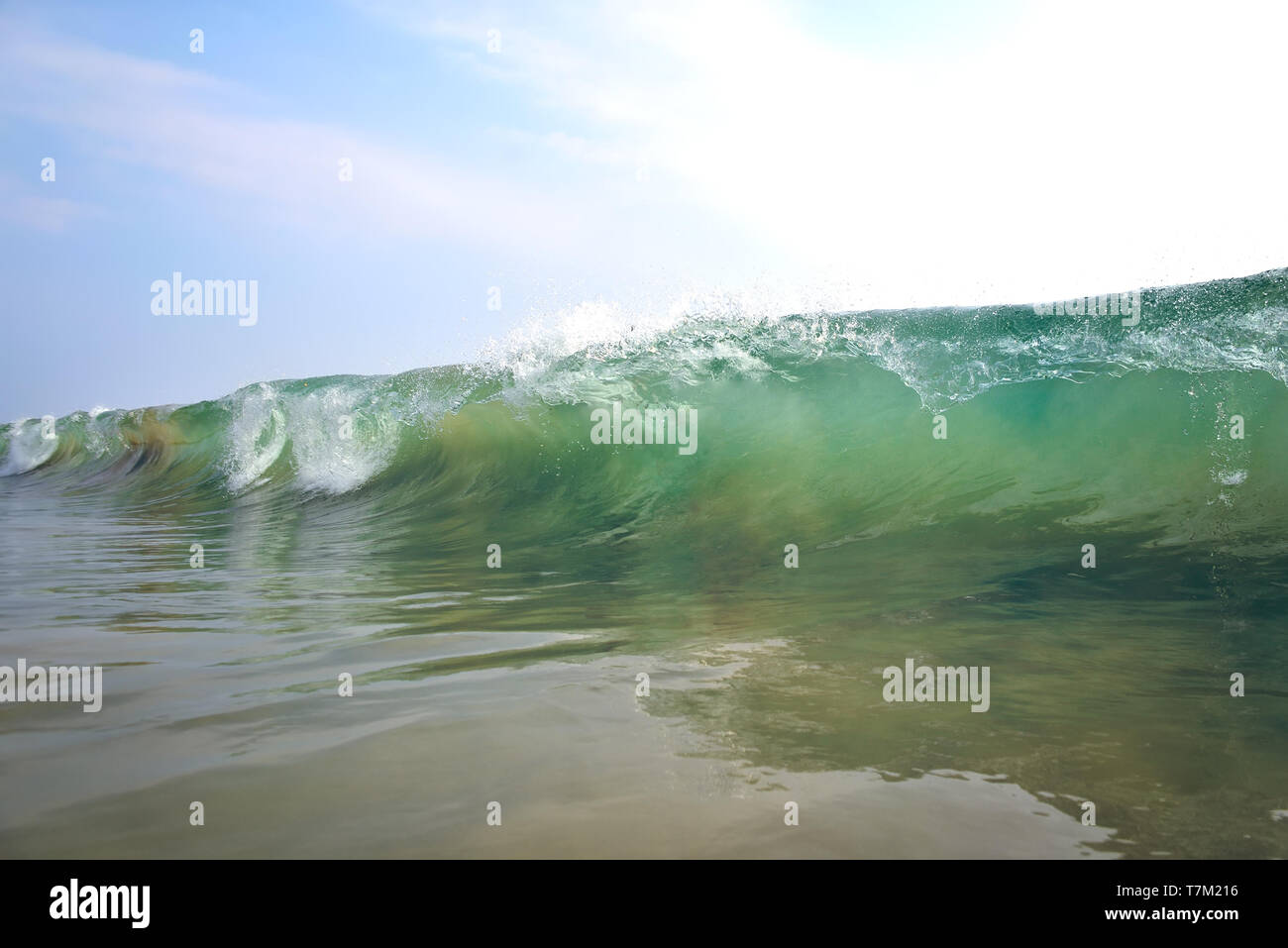 Schöne Welle im Ozean Stockfoto