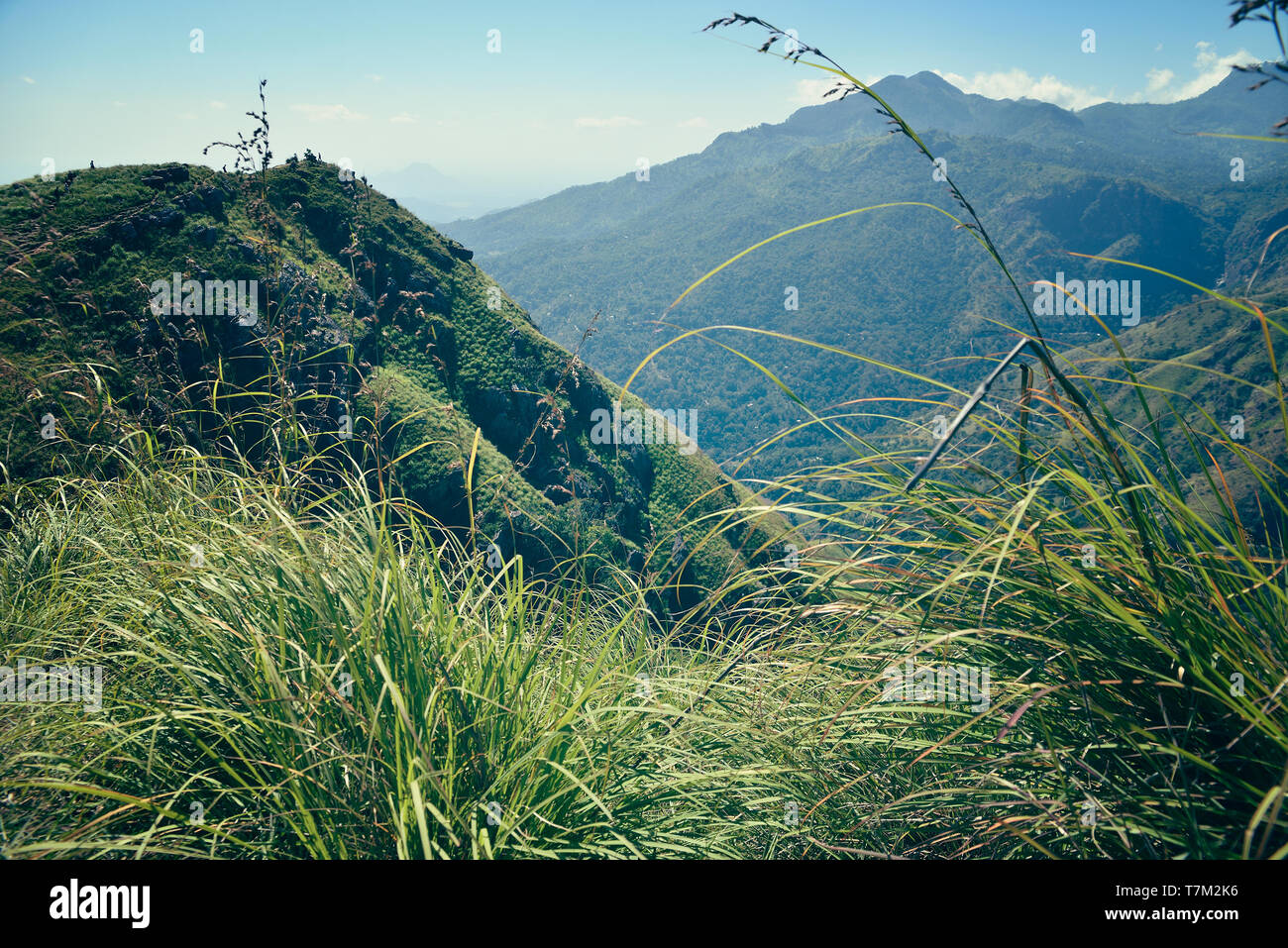 Berglandschaft in Sri Lanka Stockfoto