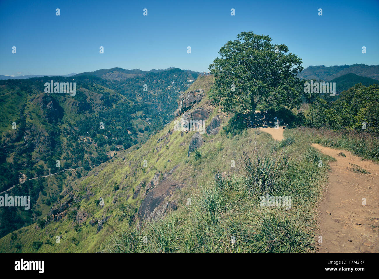 Berglandschaft in Sri Lanka Stockfoto