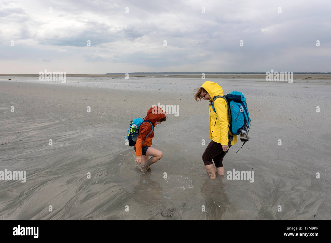 Mutter und Sohn Spaß beim im Treibsand Versinken in der Bucht des Mont Saint Michel, Normandie, Frankreich Stockfoto