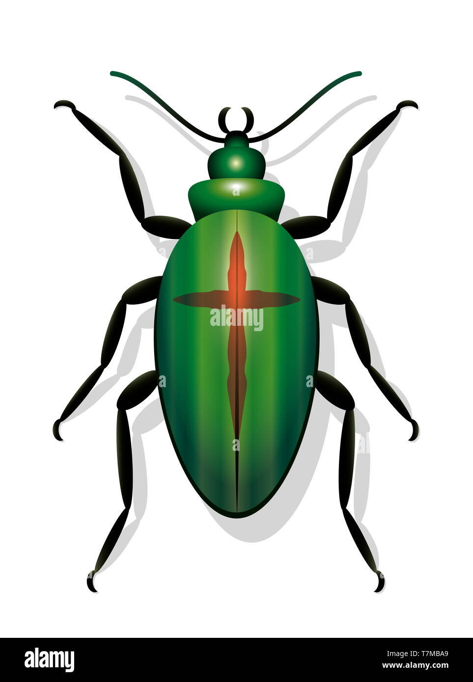 Käfer mit Kreuz, symbolisch für das Aussterben von Arten und zur Abnahme der Insektenpopulationen - Abbildung auf weißem Hintergrund. Stockfoto