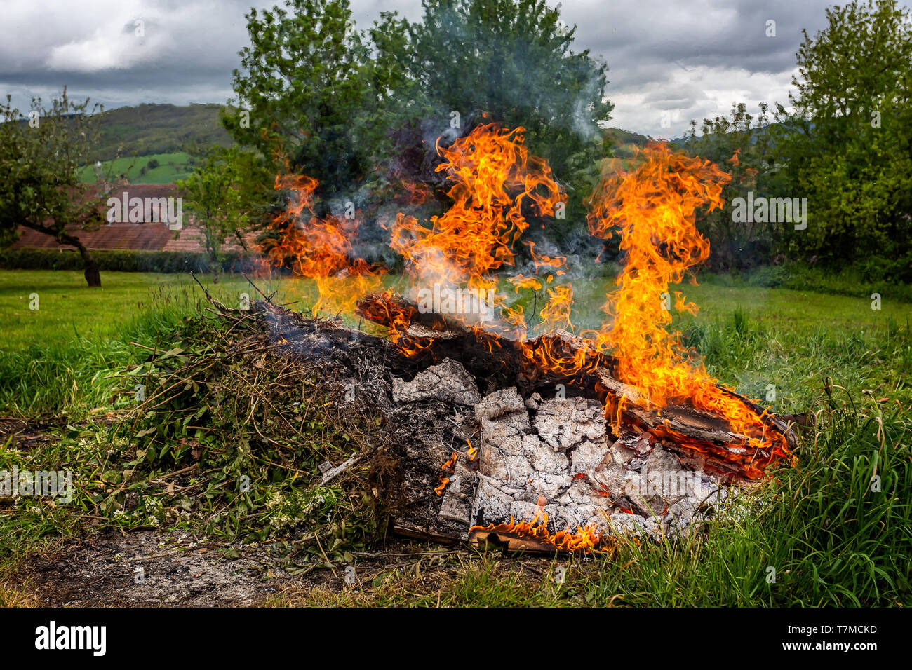 Große brennende Feuer im Feld mit gelben und orangen Flammen Stockfoto