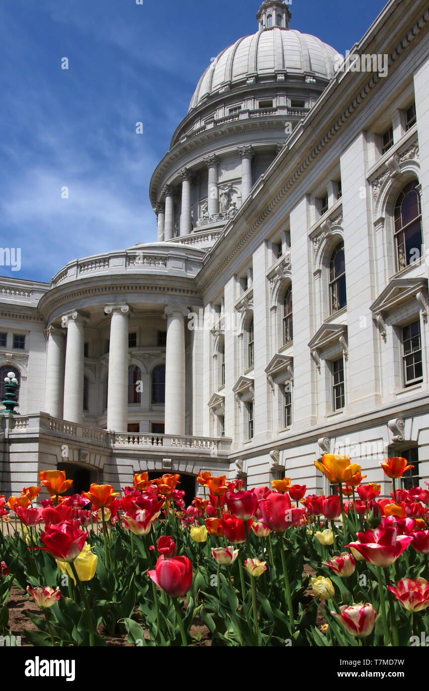 Wisconsin State Capitol Building Frühling Ansicht mit Blumenbeet mit hellen Tulpen im Vordergrund. Stadt Madison, der Hauptstadt von Wisconsin, Midwe Stockfoto