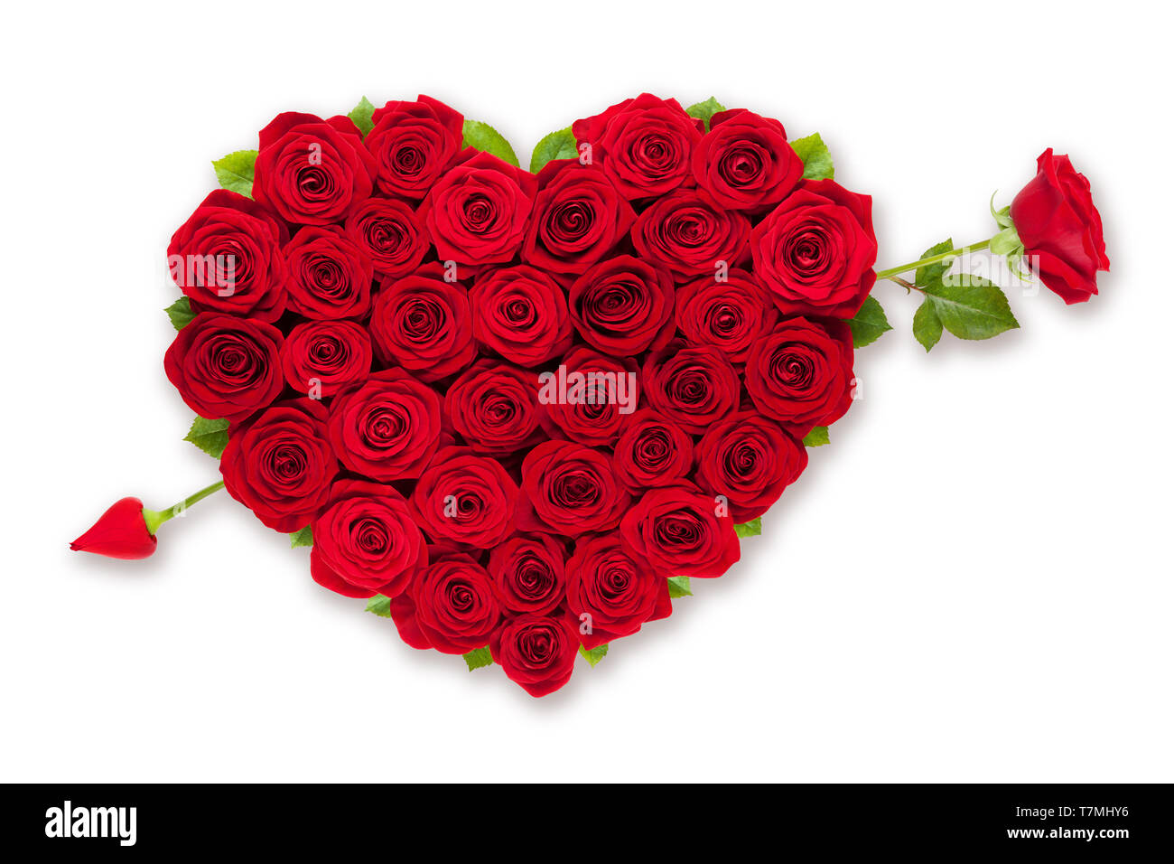 Rote Rosen Herz mit rose Pfeil auf weißem Hintergrund Stockfotografie -  Alamy