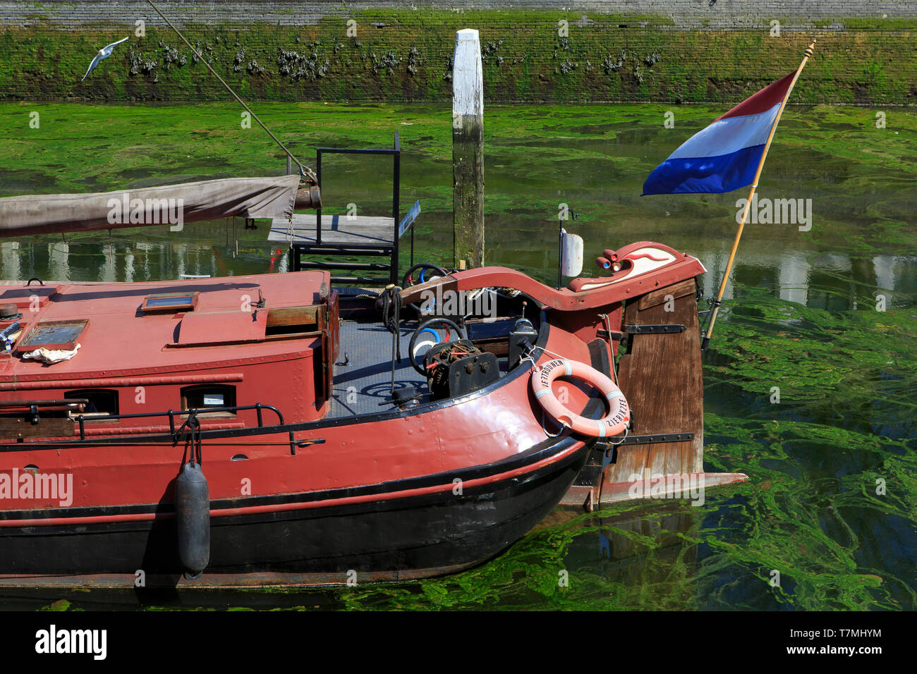 Nahaufnahme der Stern von einem Segelboot im Alten Hafen von Zierikzee (Zeeland), Niederlande Stockfoto