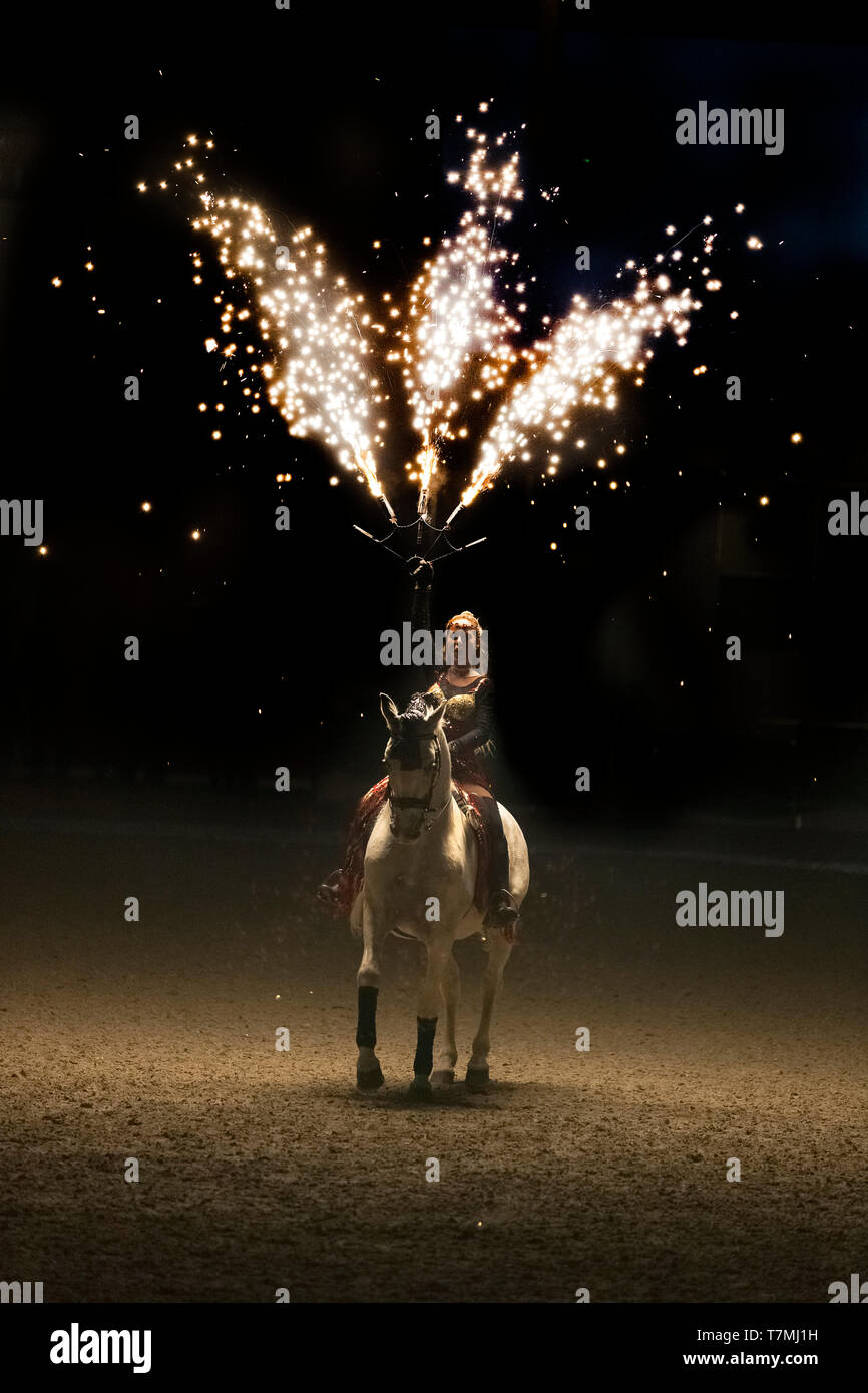 Reine Spanische Pferd, Andalusische. Interpret während einer Horse Show mit Feuerwerk Stockfoto