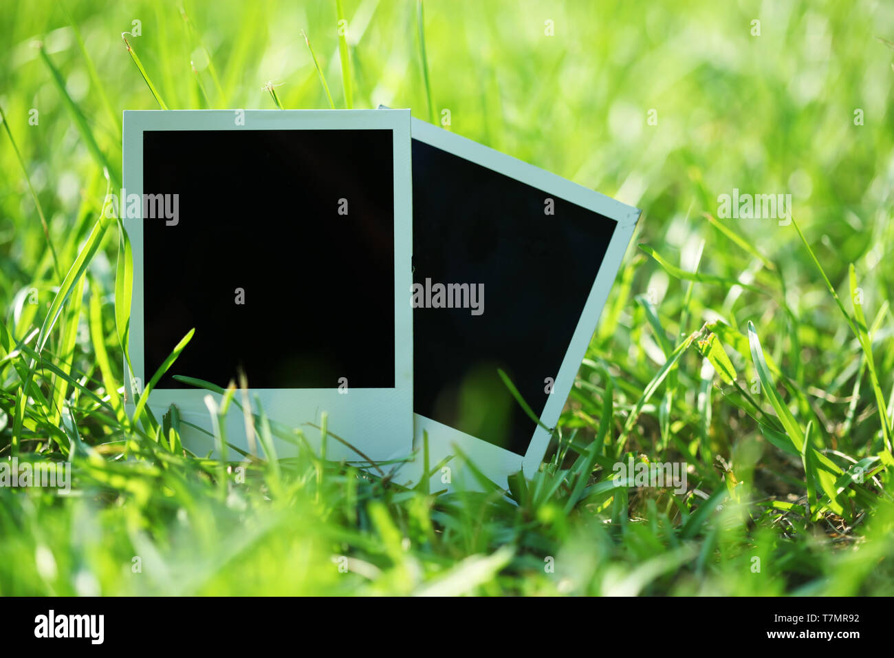 Leeren Fotos im Gras Stockfoto