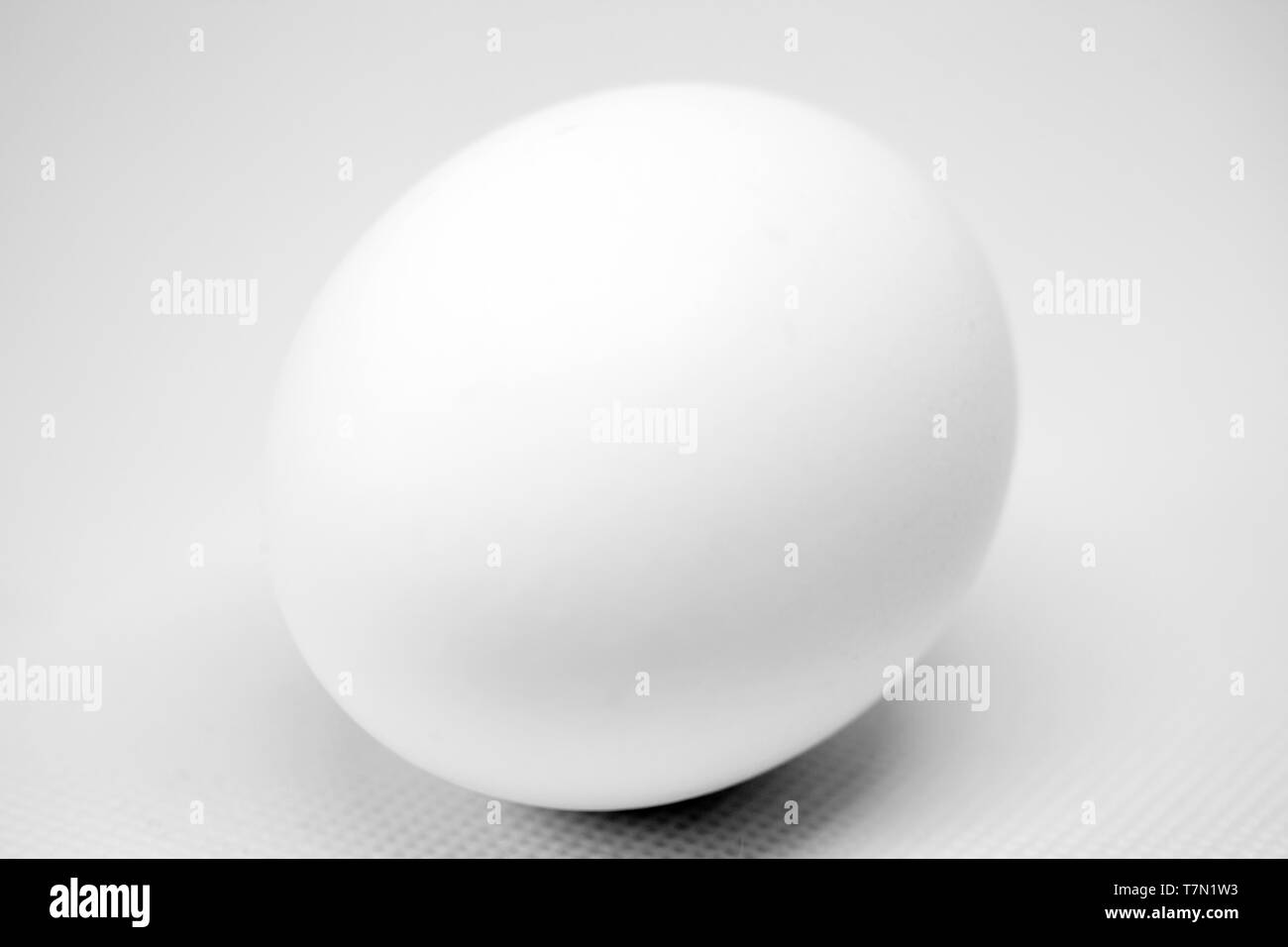 Ein weißes Ei mit Schatten Stockfoto