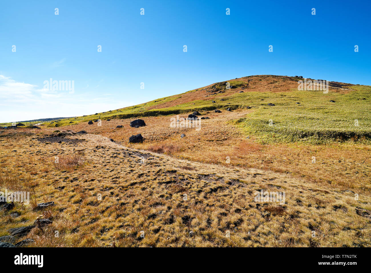 Der Weg nach oben hallasan Berg, Jeju Island, South Korea. Stockfoto