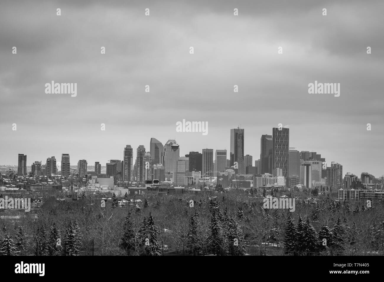 Monochrom von Calgary business district Skyline Stockfoto