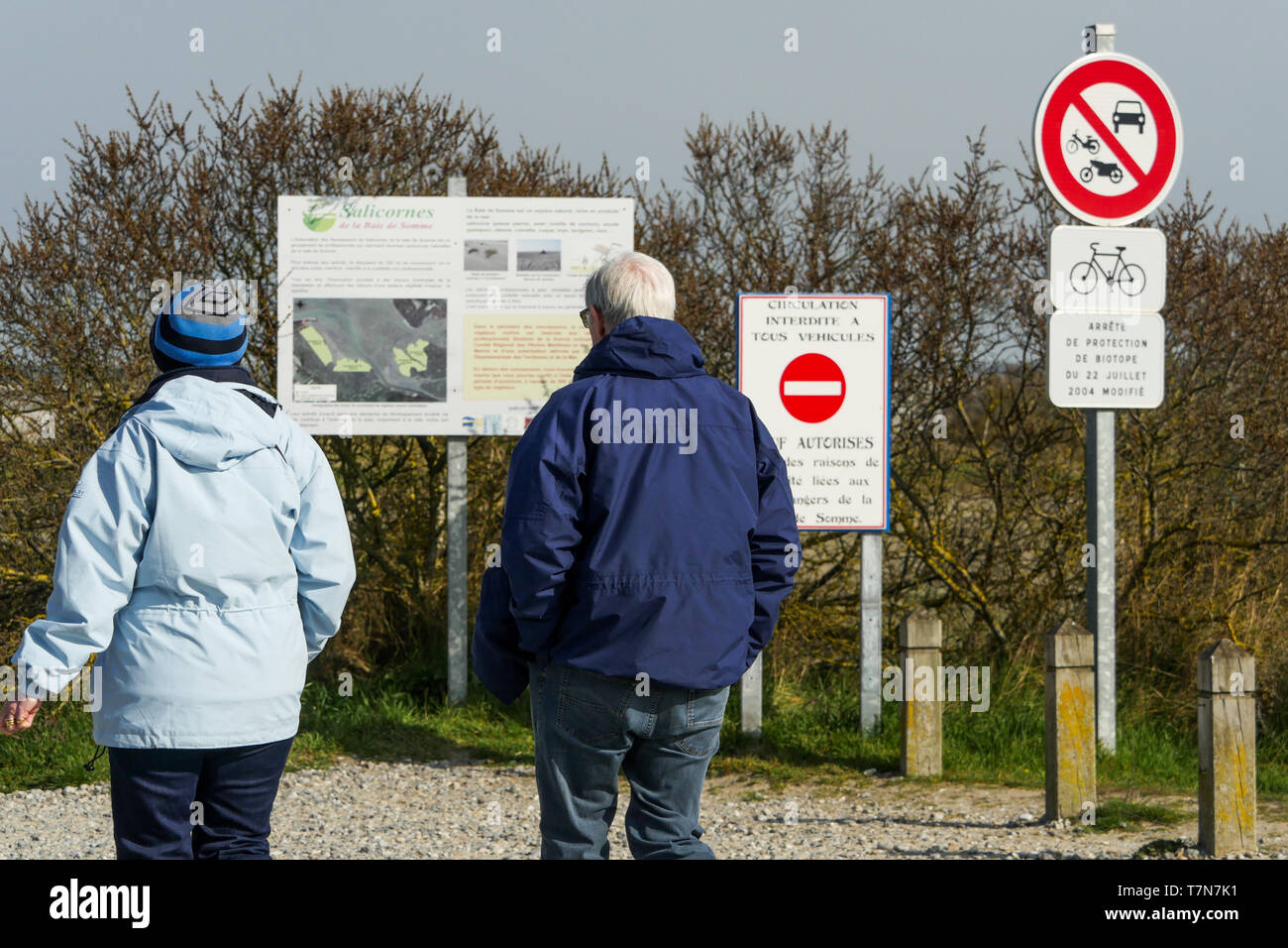 Touristen zu Fuß auf Heide Entdeckung Pfad, Le Cayeux-sur-Mer, Bucht der Somme, Somme, Haut-de-France, Frankreich Stockfoto